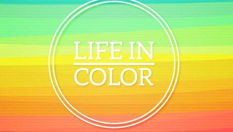 fotolio life in color